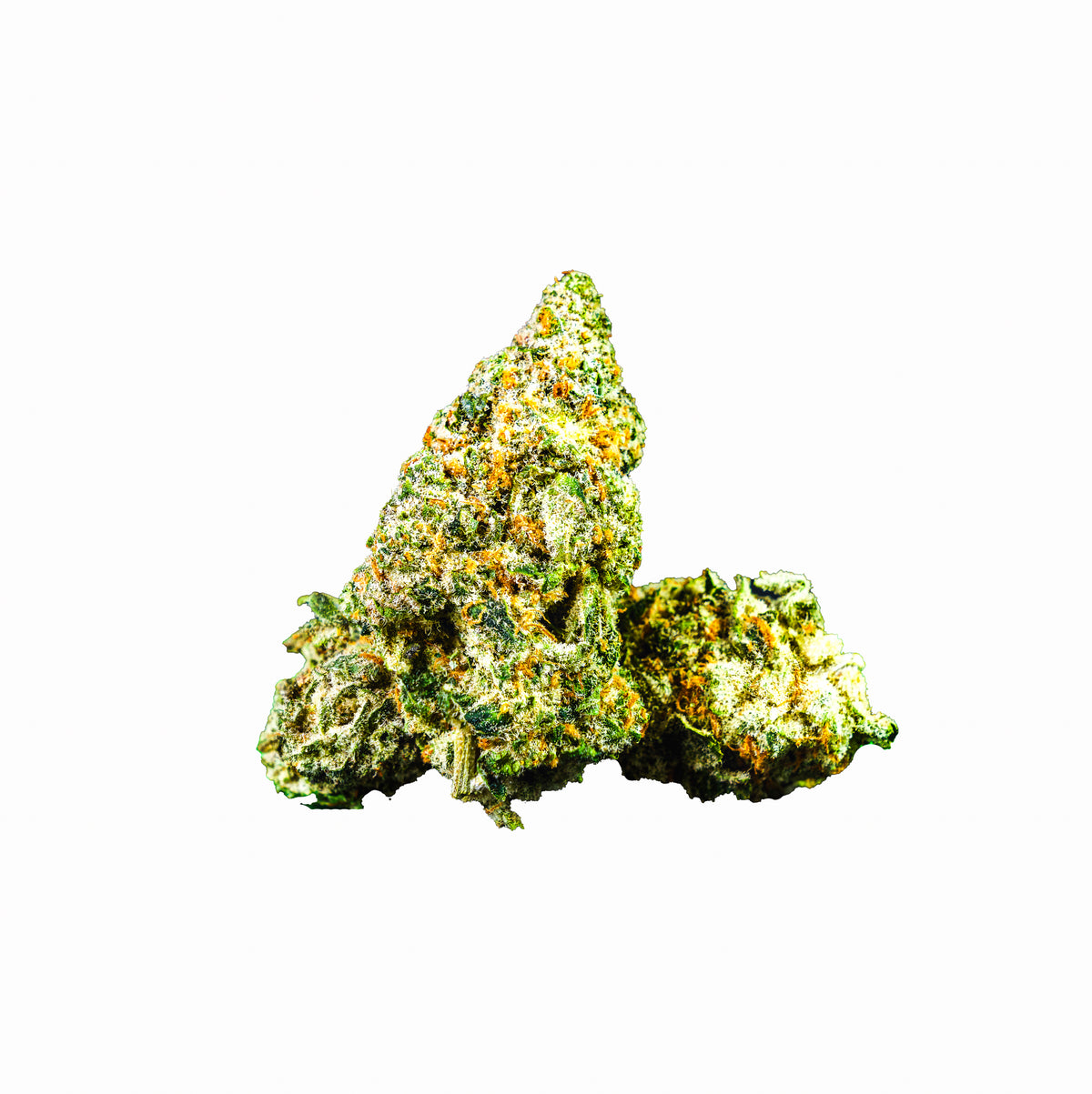 Tangerine Tiger