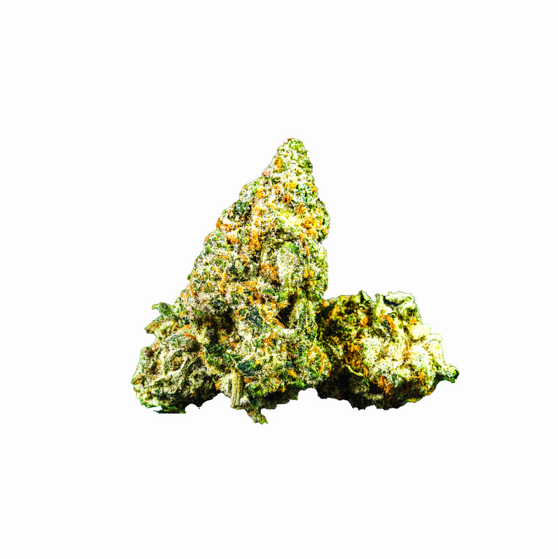 Tangerine Tiger